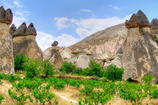 Tour image 8