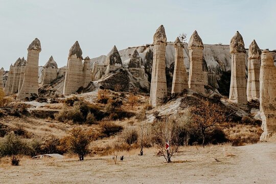 Tour image 5